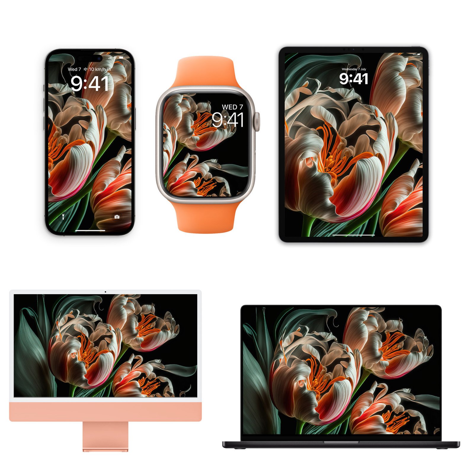 An ensemble mockup displaying detailed parrot tulip wallpapers across an iPhone, Apple Watch with an orange band, iPad, pink iMac, and a black MacBook on a plain background.