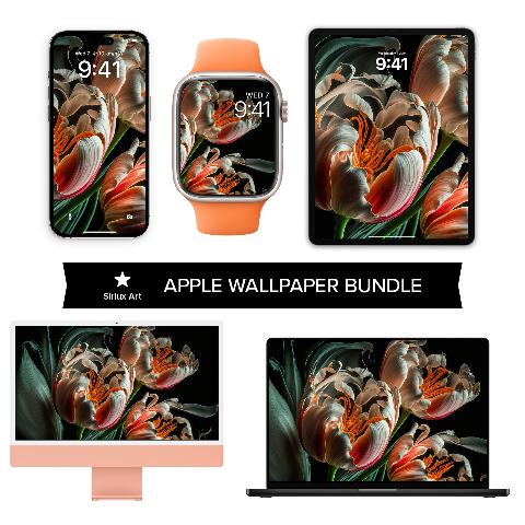 A photo showing a bundle of seven Apple devices (iPhone, Apple Watch, iPad in portrait and landscape, MacBook, iMac) each displaying a wallpaper of hyper-detailed parrot tulips with cream, coral-pink, and orange petals against a black background with sage green leaves.