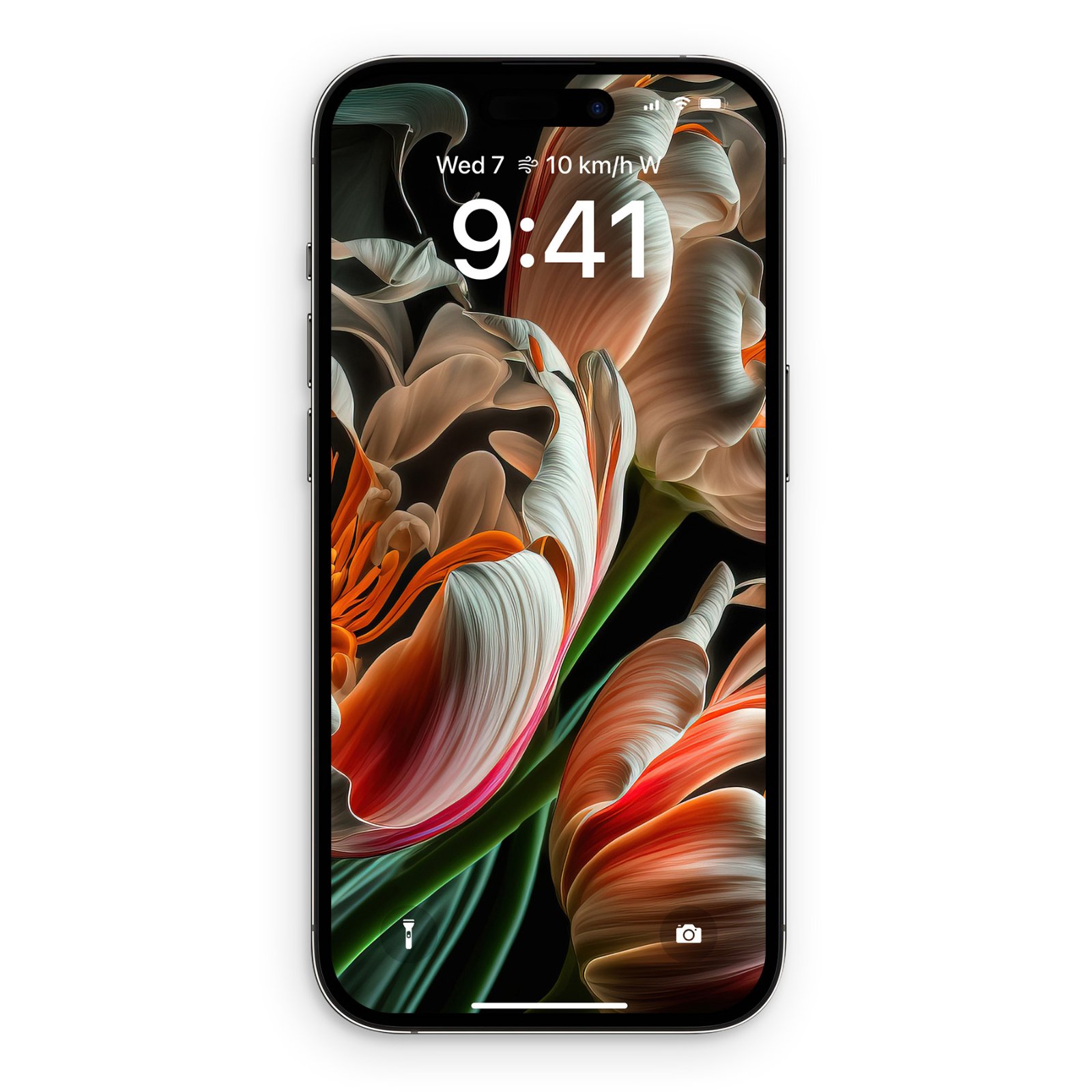 A close-up of an iPhone displaying a wallpaper of hyper-detailed parrot tulips with cream, coral-pink, and orange petals against a black background with sage green leaves.