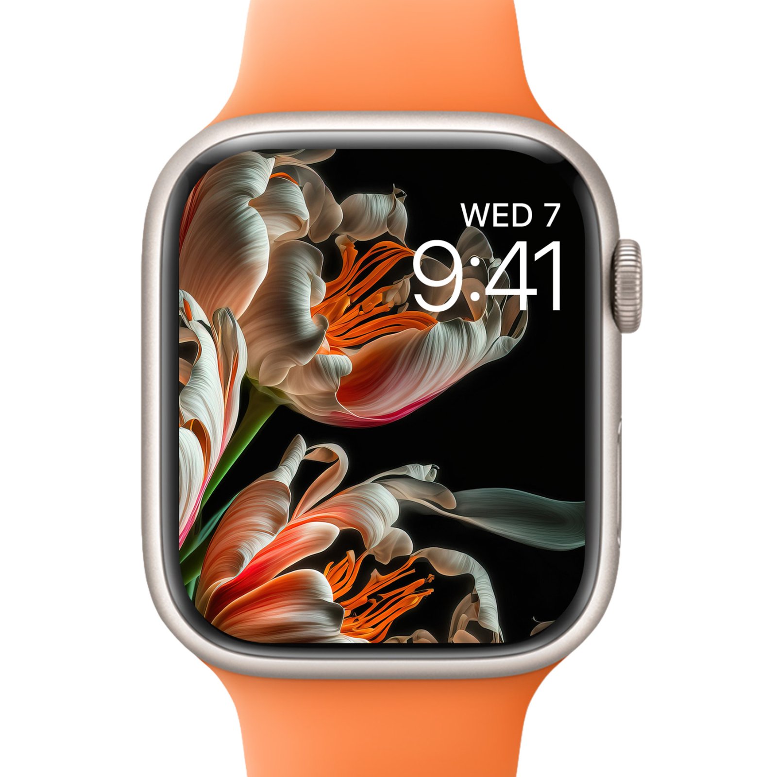 A close-up of an Apple Watch with an orange band displaying a wallpaper of hyper-detailed parrot tulips with cream, coral-pink, and orange petals against a black background with sage green leaves.