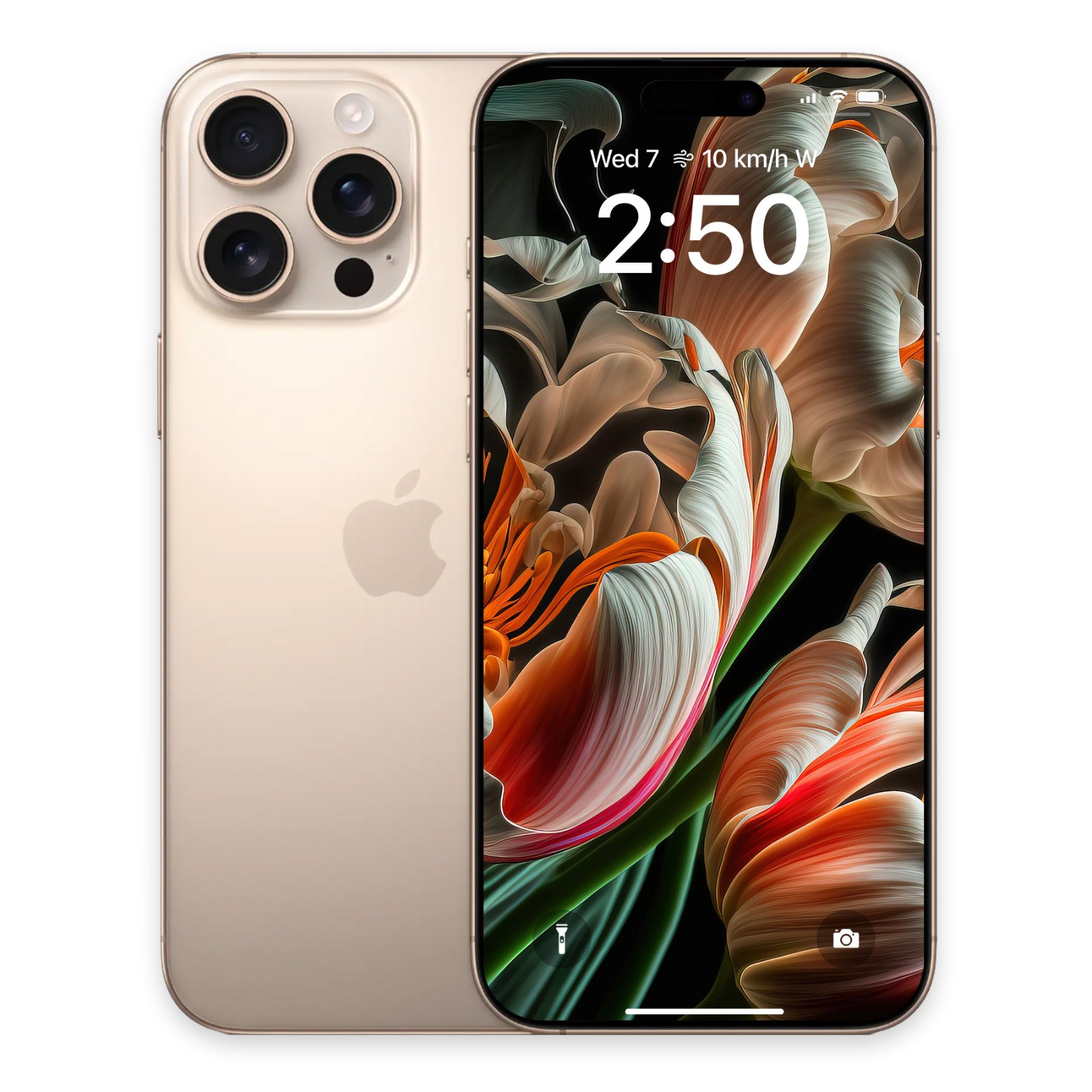Front and back view of a gold iPhone Pro displaying the baroque tulip wallpaper on its lock screen.
