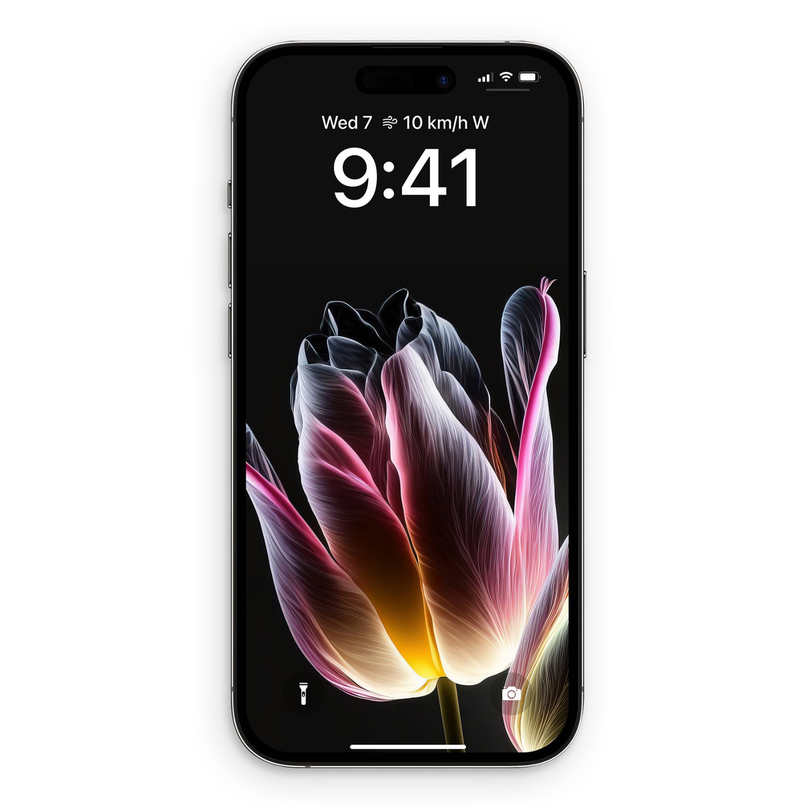 An iPhone lock screen displaying a glowing pink and amber translucent tulip against a dark black backdrop.