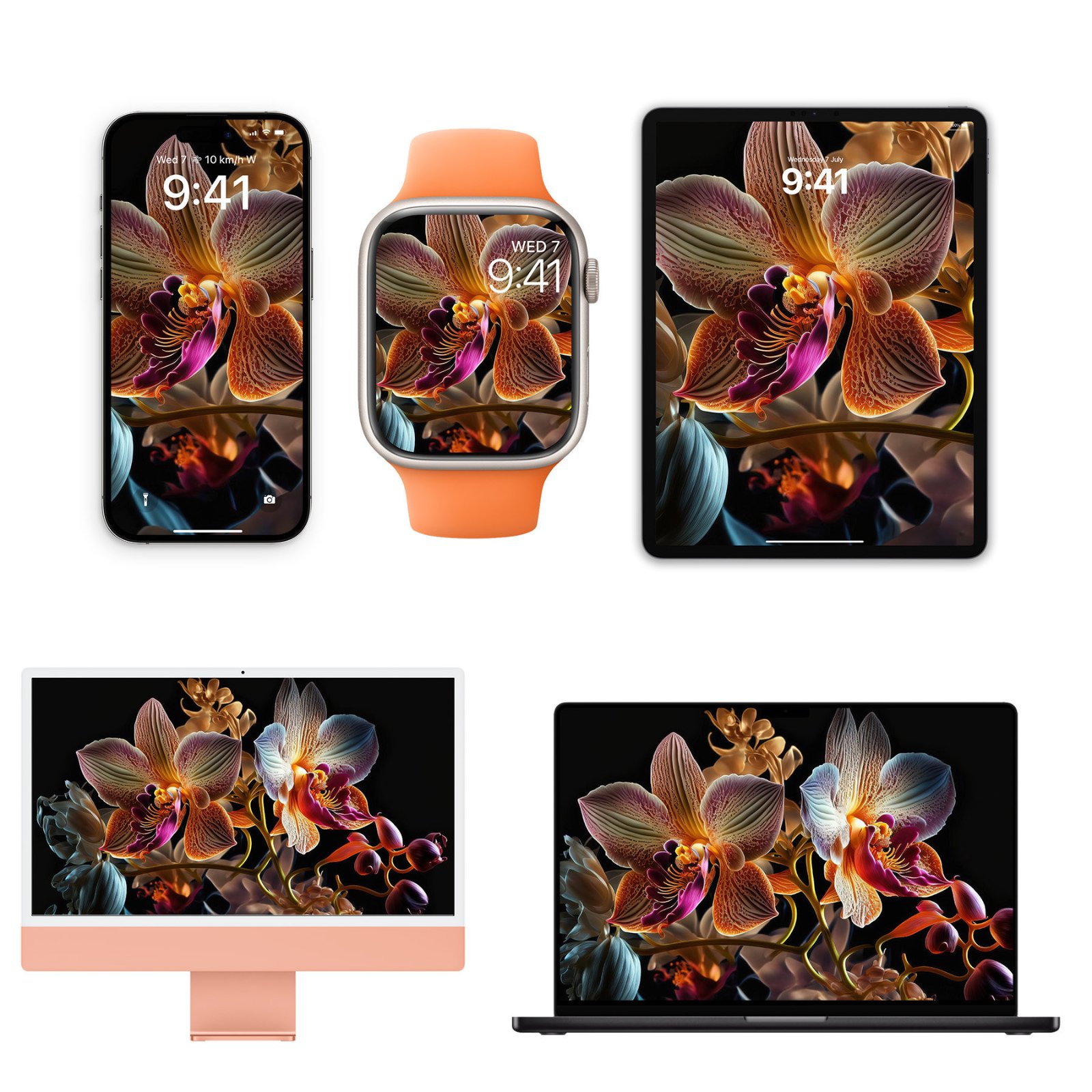 iPhone, Apple Watch with orange band, and iPad displaying a luminous orchid wallpaper with magenta and terracotta petals glowing against a pitch-black background with amber-lit stems and buds.