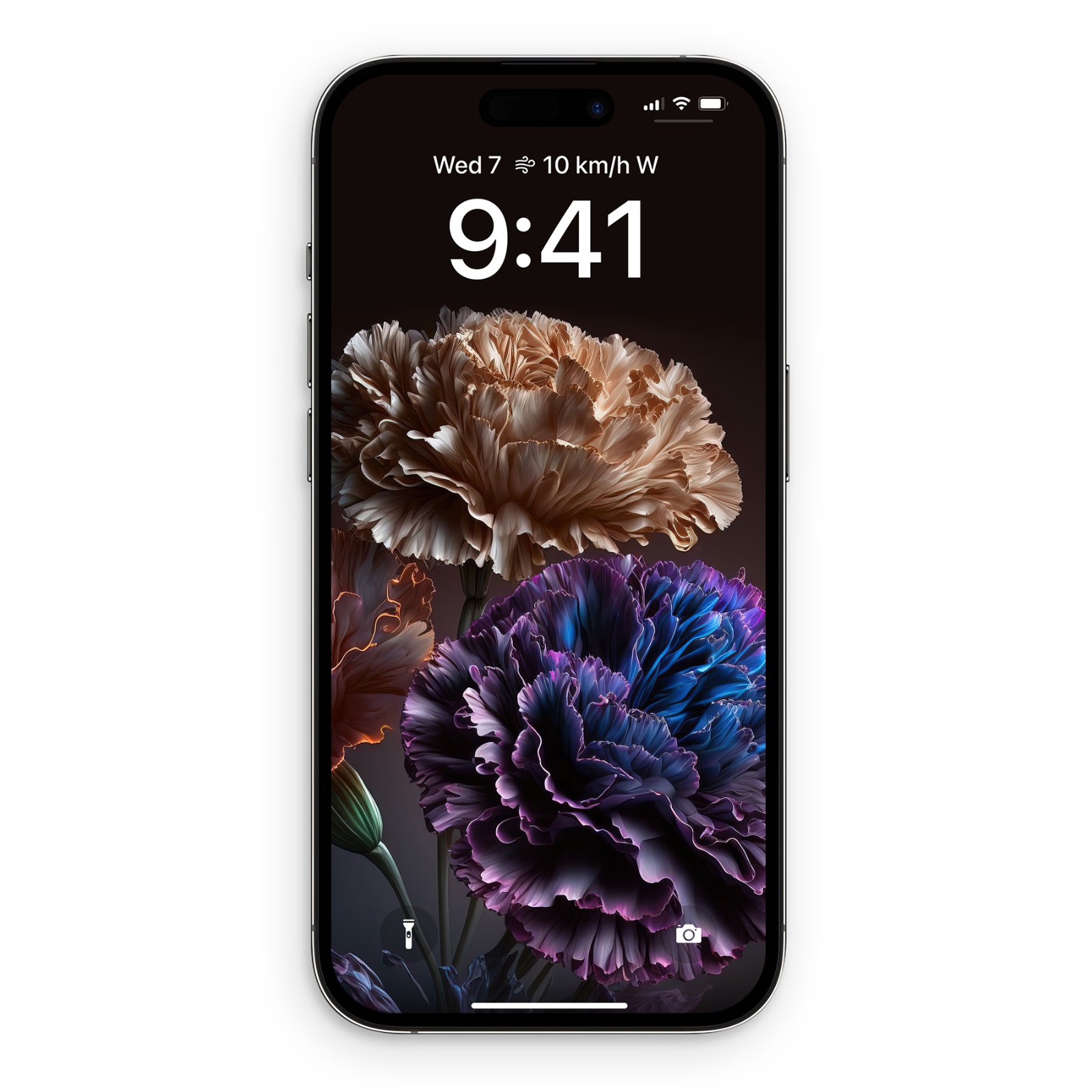 iPhone screen displaying a dark botanical wallpaper featuring a beige and a deep violet carnation flower on a dark backdrop.