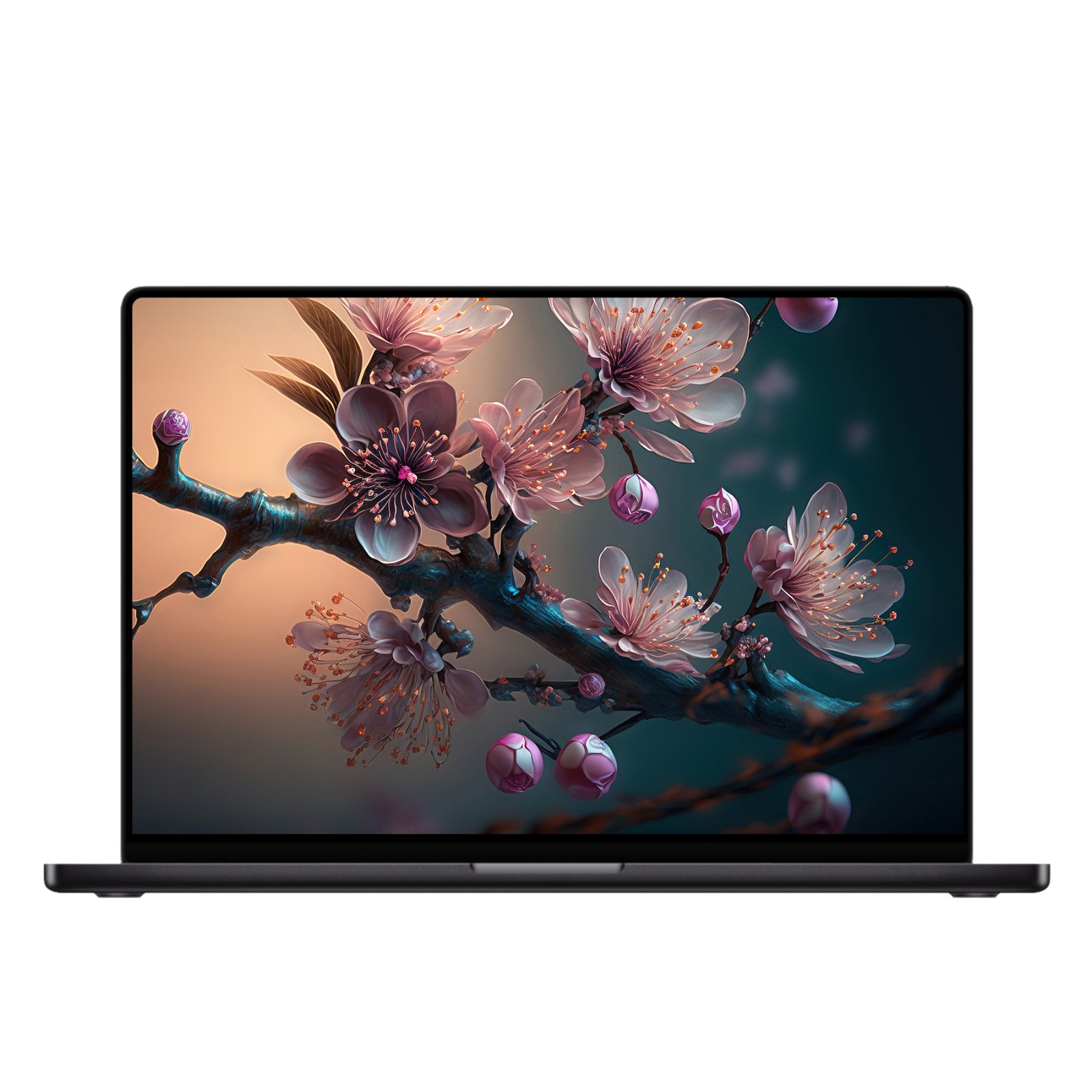 Laptop screen showing a wide view of a gnarled dark branch filled with delicate pink cherry blossoms against a warm gradient background.