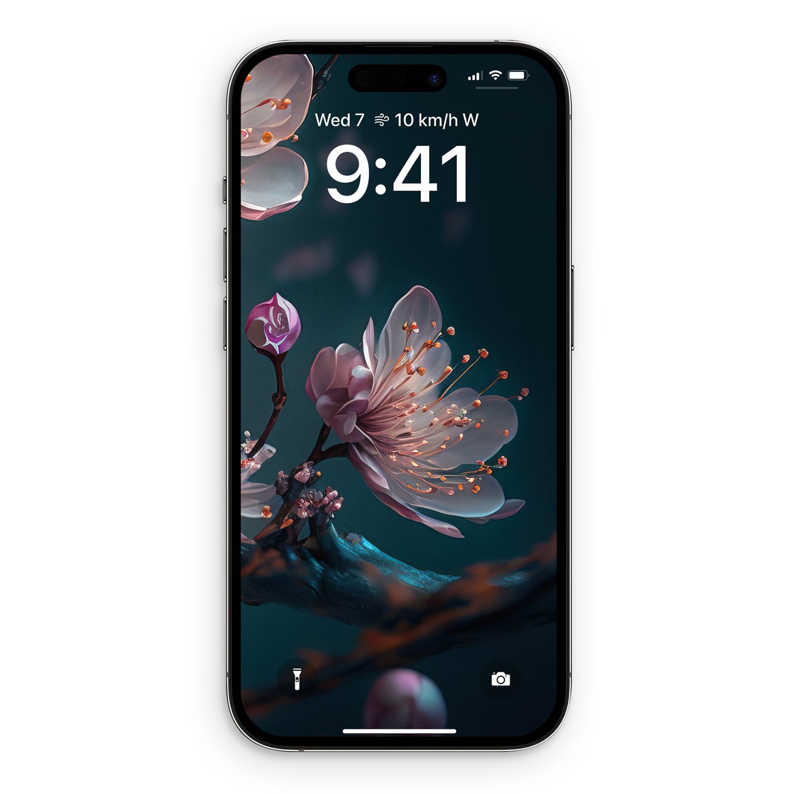 Smartphone screen displaying a close-up of a pink cherry blossom flower on a dark teal branch with visible stamen details.
