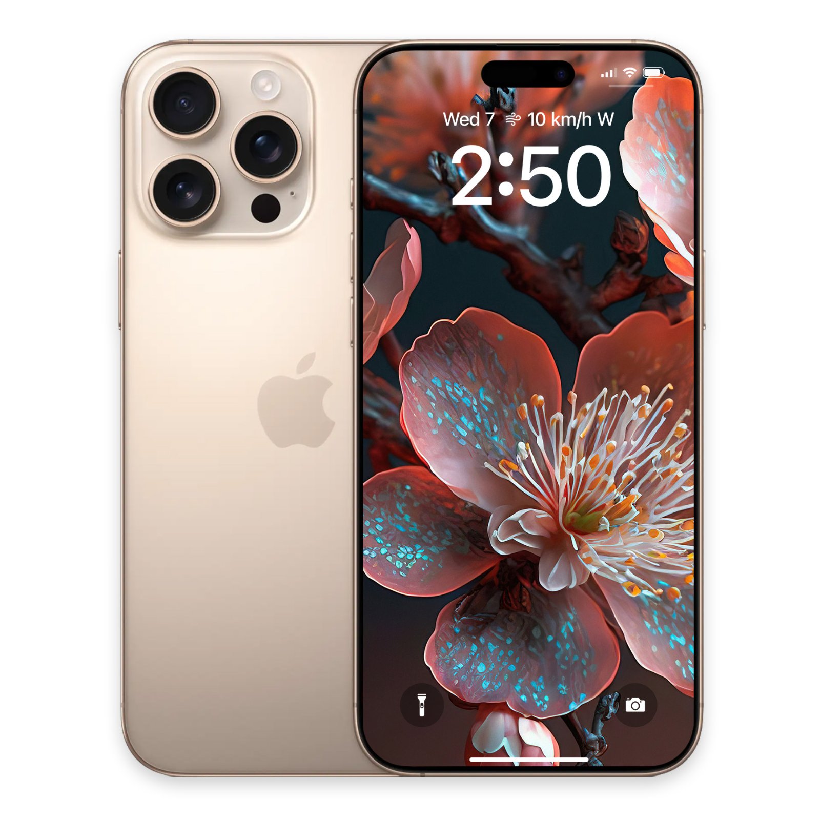 Front and back view of a gold iPhone 16 Pro displaying the terracotta plum blossom wallpaper on its lock screen.