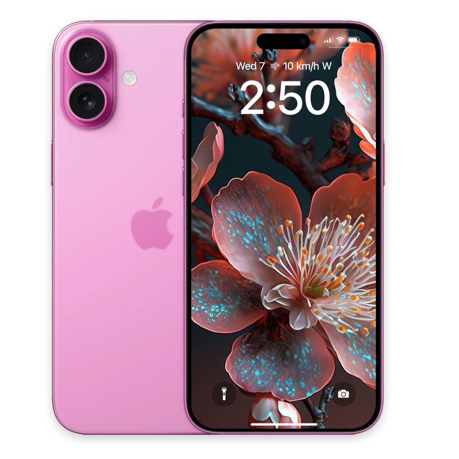 Front and back view of a pink iPhone 16 displaying the terracotta plum blossom wallpaper on its lock screen.