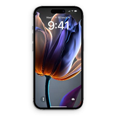 An iPhone screen mockup displaying a close-up wallpaper of a backlit purple and amber tulip against a dark slate background.