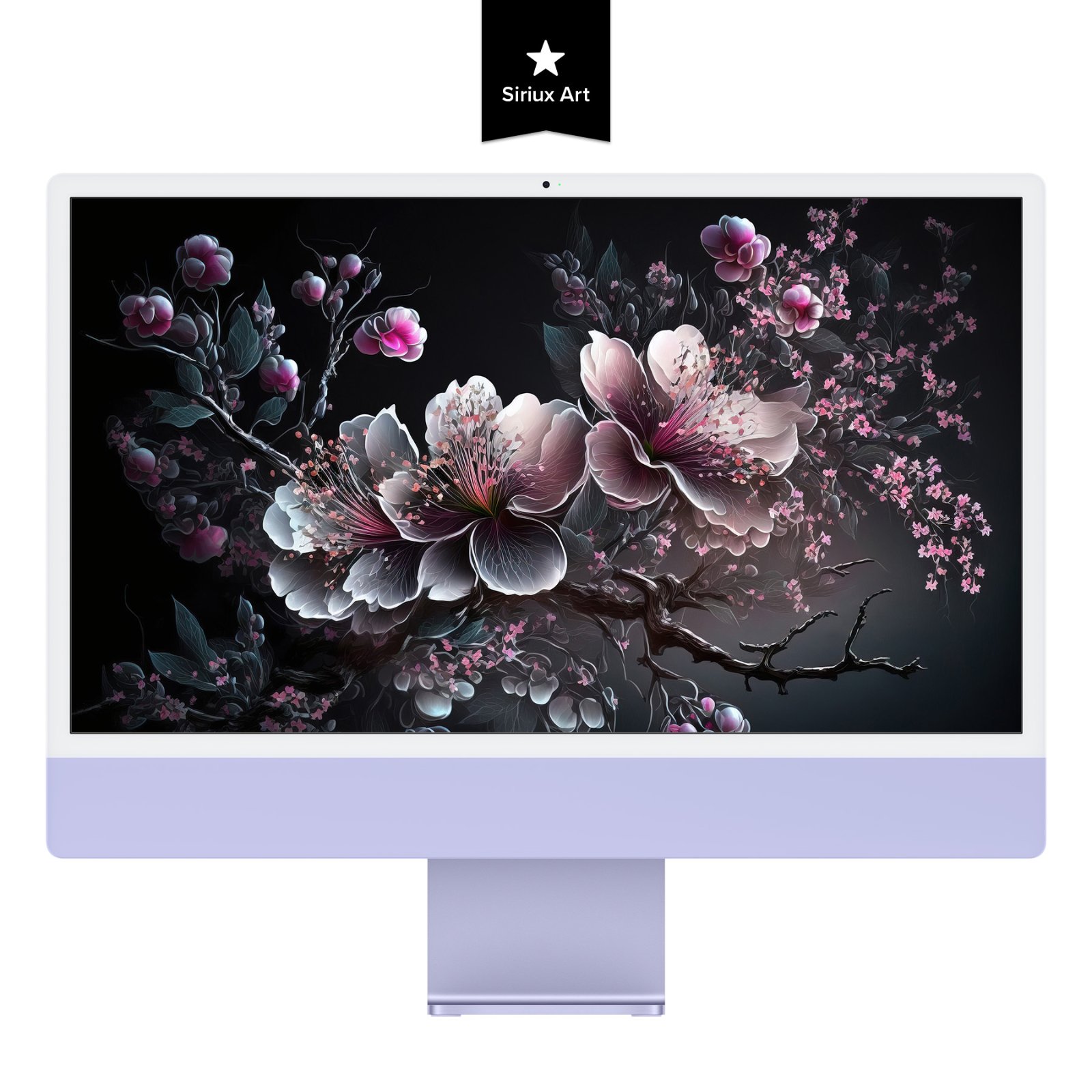 Purple iMac displaying high-resolution wallpaper of luminous plum cherry blossom branches against a dark background.