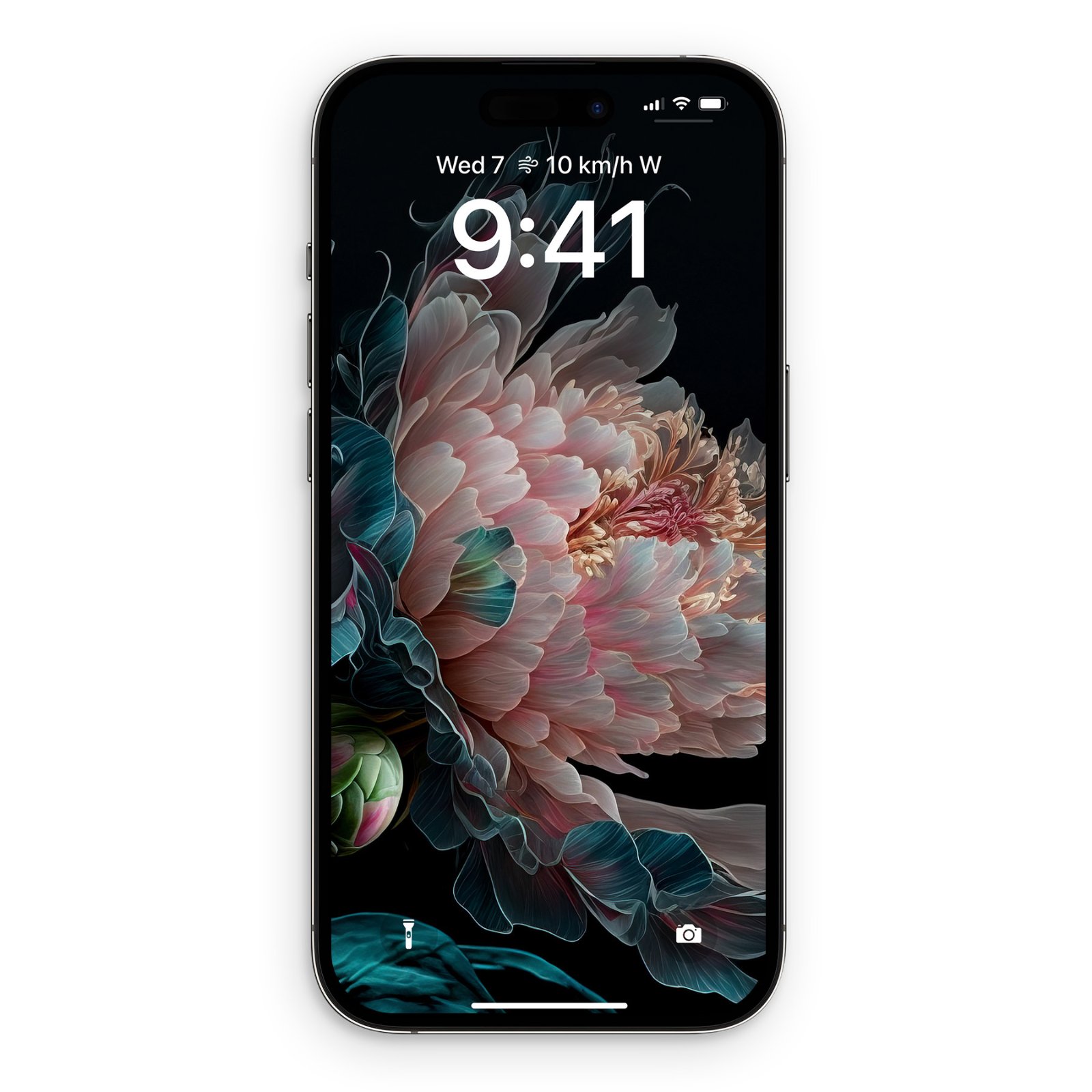 Dark peony flower wallpaper displayed on the lock screen of an iPhone.