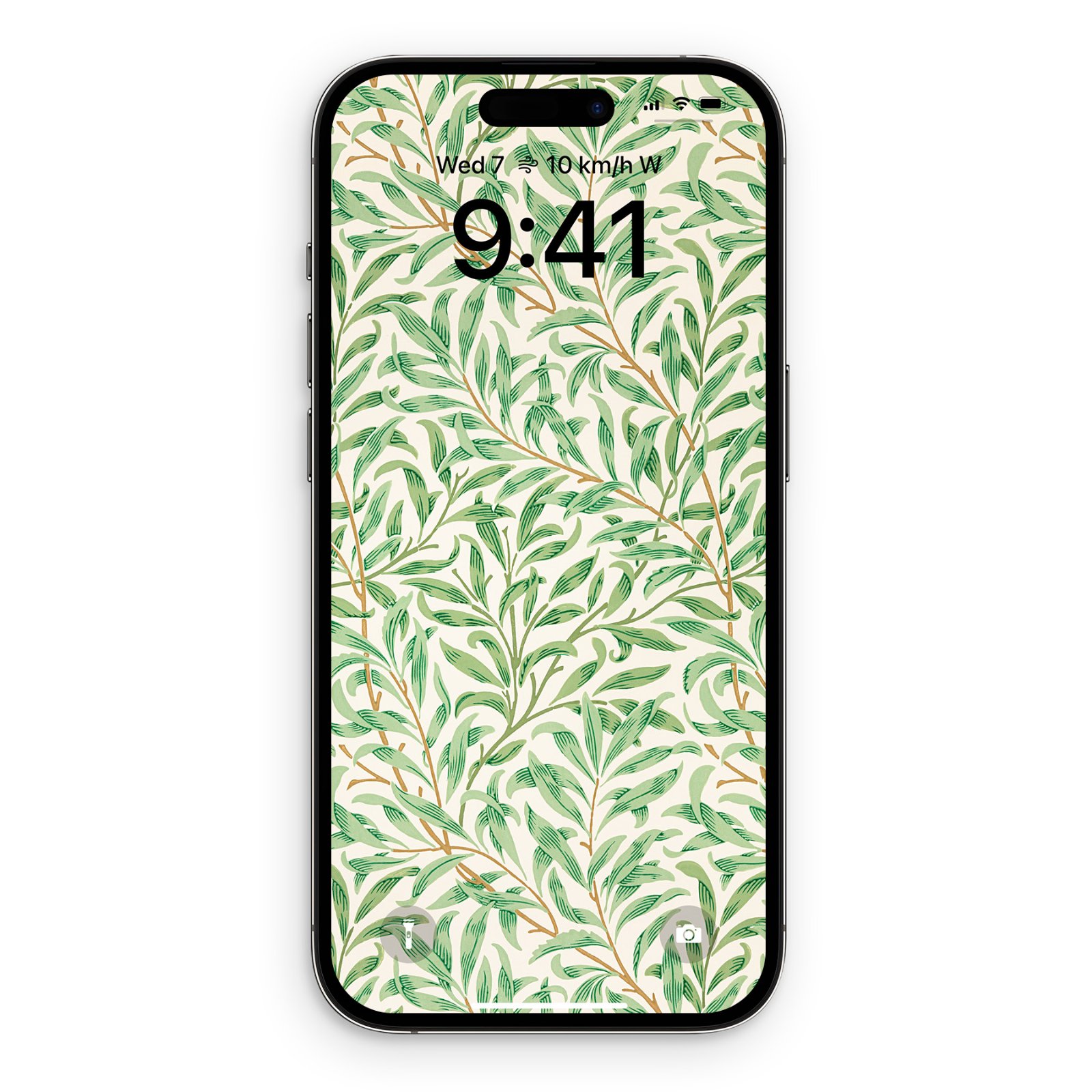 An iPhone in portrait orientation displaying a sage green willow leaf wallpaper on its lock screen.