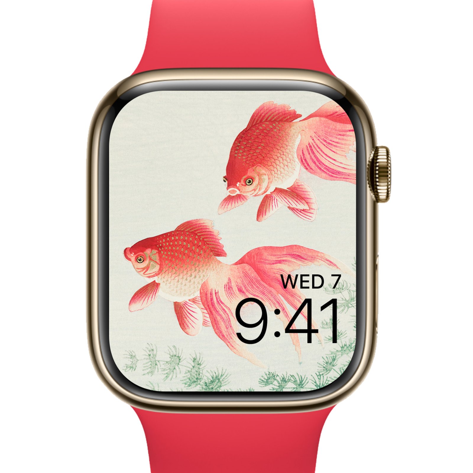 An Apple Watch mockup with a red band displaying a close-up of two crimson goldfish printed on off-white textured paper.
