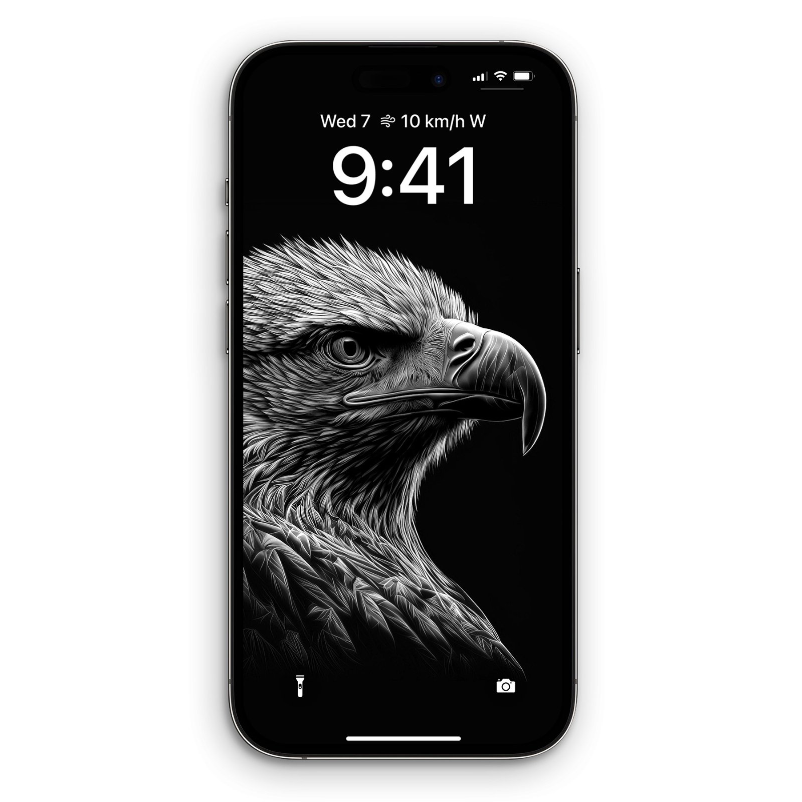 Close-up profile of a bald eagle's head in high-contrast black and white, with finely detailed feathers and a sharp eye, displayed on an iPhone lock screen against a pure black background with time and status bar visible at the top.